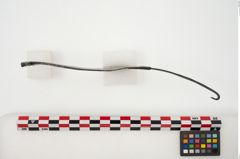 Foto von Eisengürtelhaken (NHMW-PRAE-025294)